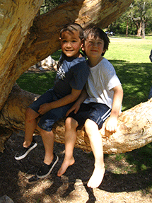 gengy & zach in tree